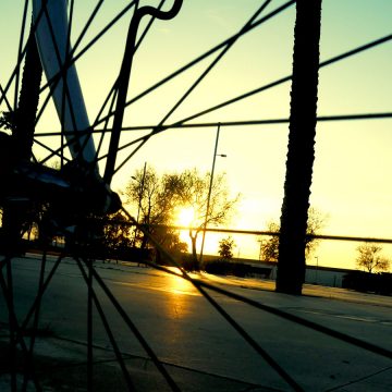 blog