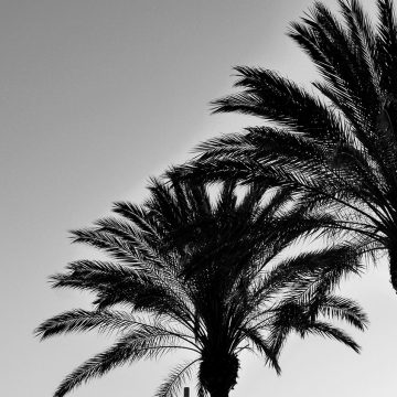 blog1