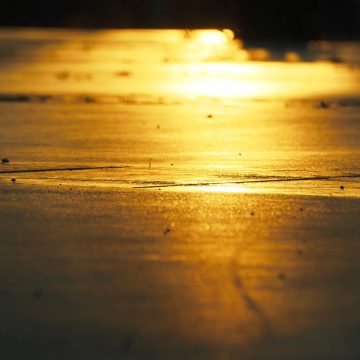 blog3